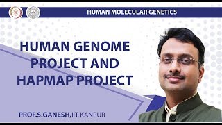 Human Genome Project and HapMap project [upl. by Aivalf]