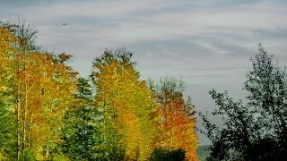 Klosterneuburg im Nebel [upl. by Kasevich669]