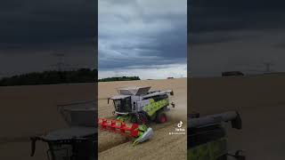 Claas Trion 740 claas trion agriculture moisson [upl. by Ytsenoh]