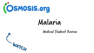 Malaria  Osmosis Study Video [upl. by Gardy]