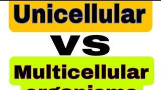 Difference between unicellular and multicellular organisms Urduhindi [upl. by Ayortal]