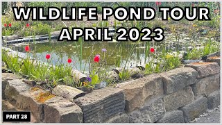 How To Create A Wildlife Pond Like This  Here we show you our wildlife pond in April ponds [upl. by Sirapal]