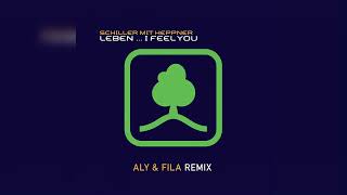 Schiller mit Heppner  Leben I Feel You Aly amp Fila Extended Remix NitronUniversal [upl. by Mushro]