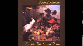 Procol Harum  Exotic Birds and Fruit Full Album 1974 [upl. by Feucht342]