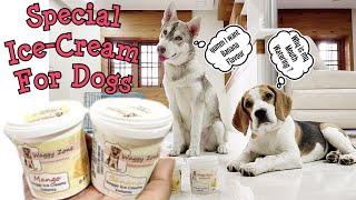 Special Ice Cream for Dogs Only  Champ amp Wolfy loved it [upl. by Notyal]