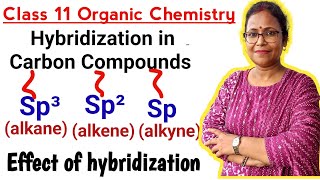 hybridizationhybridization in carbon compounds sp³sp² and sp hybridizationClass 11 Chemistry [upl. by Anined745]