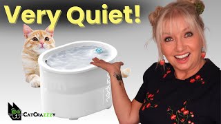 Unleash Your Cats Desires UahPet Glow Pet Water Fountain Review [upl. by Fanya]