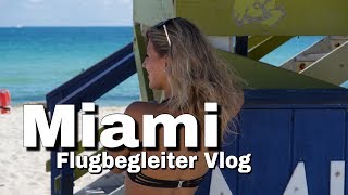 Welcome to Miami  24 hours in Miami  Flugbegleiter Vlog  andreaabaam [upl. by Nitz797]