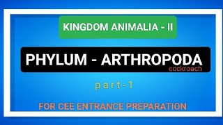 ⏭️ Phylum ARTHROPODA  1 nebceembbsneetnameceecatalystneb2488 aiims phylumprotozoa [upl. by Sugihara]