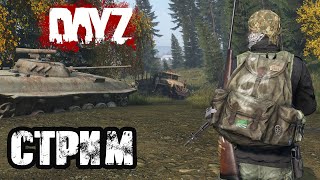 DAYZ  АТМОСФЕРНОЕ ВЫЖИВАНИЕ В СОЛО [upl. by Nnaael]