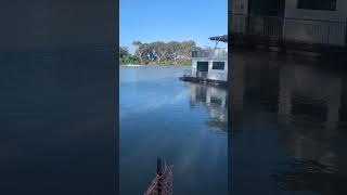 youtubeshorts travel australiatravel nature caravanlife river australia southaustralia [upl. by Kali]