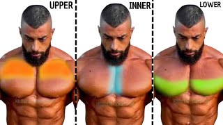 The Ultimate Guide to Enlarging Your chest Completely and Fastchest workout [upl. by Acissey440]