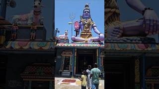 Om Namachivaya  sivan  ஓம் நமசிவாய sivan sivantemple thiruvannamalai [upl. by Sirdna]