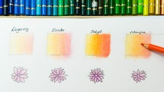 Zeichnen für Anfänger Buntstifte verblenden Polychromos Tutorial deutsch  TinasArts [upl. by Arata379]