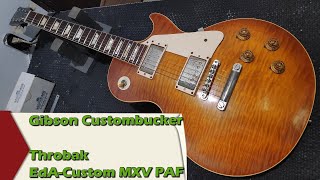 ThroBak EdACustom MXV PAF amp Gibson Custombucker comparison [upl. by Attenwad894]