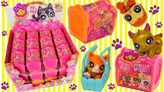 Entire Case of Collectibles Unboxing of the BFFs Best Furry Friends Pet Carrier Toys [upl. by Aronaele]