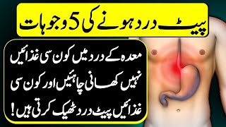 5 Causes Of Stomach Or Abdomen Pain Urdu Hindi  5 Foods That Relieve Stomach Pain [upl. by Wendye]