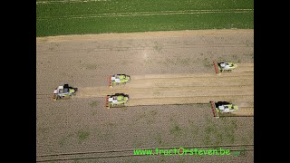 5 Claas combine harvesters together  5 Claas pikdorsers samen  Hertigers Loonwerken Tongeren [upl. by Alleuqahs934]