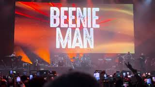 Beenie Man  OVO Arena Wembley London 2024 [upl. by Novihs]