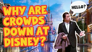 Why Are Crowds Down At Disney World This Summer [upl. by Barnabas]