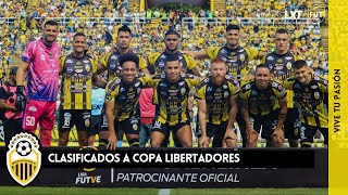 ANALISIS POST PARTIDO DVO TACHIRA 10 DVO LA GUAIRA [upl. by Aklim]