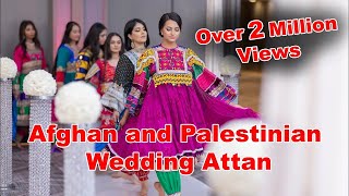 Afghan and Palestinian Wedding Attan Performance [upl. by Egni]