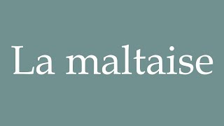 How to Pronounce La maltaise The Maltese Correctly in French [upl. by Anayaran]