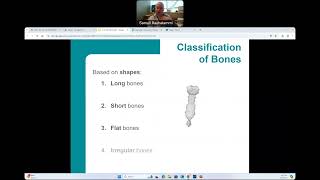 CG  BIO160  Skeletal System [upl. by Ientruoc]