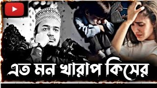 এত মন খারাপ কিসের তোর। Sayed Mukarram bari waz [upl. by Polk765]