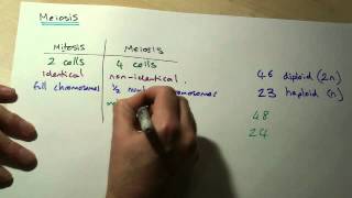 B5 OCR Biology Meiosis [upl. by Ahsenyt366]