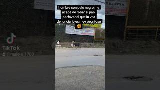 pegriloso colombia mascota Viral animales peludos 4patas humor [upl. by Airalav882]