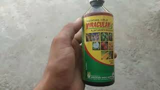 Niraculan Plant Growth Regulator Triacontanol 005 EC For Production Growth [upl. by Woolley]