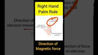 FLEMINGS left hand Rule magneticforce fleminglefthandrule shorts viralvideo trending [upl. by Consuelo736]