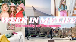 WEEK IN MY LIFE  UNIVERSITY OF TENNESSEE [upl. by Godber]