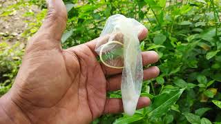 Most Popular Female Condom Use For Beginners  Top Class Female Condom In Use  TvBoxShow [upl. by Dorr]