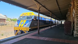 7922V SCT up quotDooen Expressquot EL51 EL53 EL54 Dooen to Melbourne 1240 211024 Stawell VIC [upl. by Mayrim]