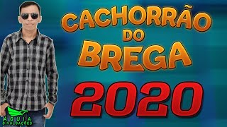 CACHORRÃO DO BREGA 2020  AOW PAIXÃO [upl. by Tse982]