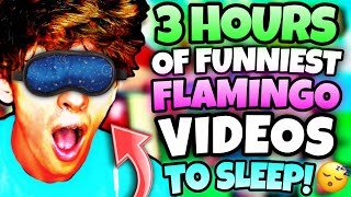 3 HOURS OF FLAMINGO VIDEOS TO FALL ASLEEP MARATHONROBLOX [upl. by Hughmanick48]