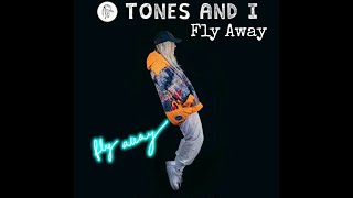 Tone And I  Fly Away  Lyrics  Remix [upl. by Allemrac]