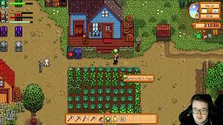 Stardew Valley amp We Are Football 2024 [upl. by Farmelo]