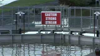 Goring and Streatley Floods 9th January 2014 [upl. by Dlonra]