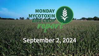 Monday Mycotoxin and Crop Report for September 2 2024 [upl. by Paget765]