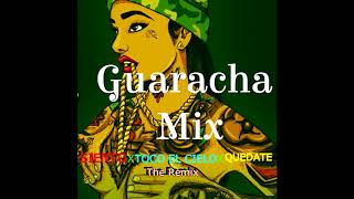 Guaracha mix  Siento X Toco el cielo X Quedate The remix [upl. by Hacceber965]