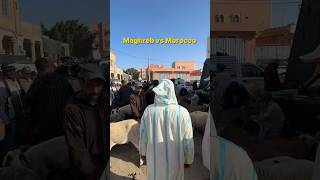 Maghreb VS MOROCCO 🇲🇦😂 morocco dimamaghrib travel [upl. by Mettah459]