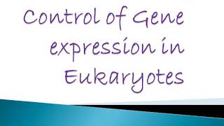 Gene expression in Eukaryotes Hindi  Urdu  Zool1112  BSc Zoology A [upl. by Rayburn778]