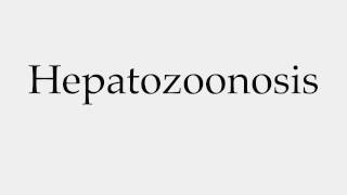 How to Pronounce Hepatozoonosis [upl. by Meadows]