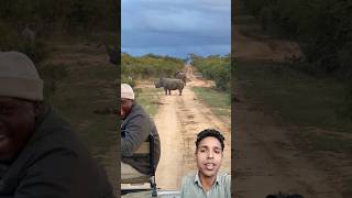 Ranger Regrets Laughing at Rhino When it Charges Him elephant amazinganimals animalswithcameras [upl. by Nolad]