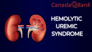 Hemolytic Uremic Syndrome [upl. by Chlori]