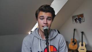 Purpose  Justin Bieber Cover by Linus Bruhn [upl. by Bueschel]