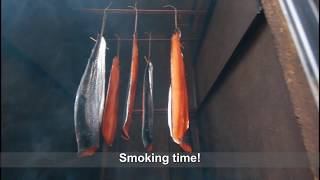 Cold smoked salmon  From fresh fish to first slices in 4 days [upl. by Arnuad]